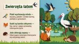 Lato - prezentacja edukacyjna/gazetka szkolna o przyrodzie, wakacjach i bezpieczeństwie