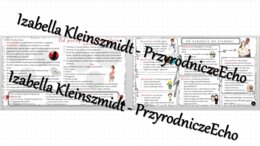 Sketchnotka - notatka „Rozwój człowieka -od poczęcia do starości” wykonana w power point do edycji. Biologia 7; „Rozmnażanie i rozwój człowieka”