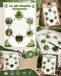 Las jako ekosystem