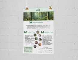 Plakaty o ekosystemach. Las, łąka, jezioro, morze, góry.