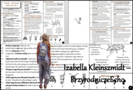 Książeczka/sketchnotka/notatka/wklejka/streszczenie dla ucznia i przypomnienie dla nauczyciela/edukacja domowa/materiał w pigułce. Temat „Owady-stawonogi zdolne do lotu” w pdf. Biologia 6, dział „Stawonogi i mięczaki”. Nowość 2024/2025.