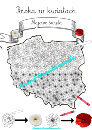 Polska w kwiatach