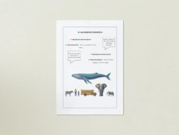 Plakaty przedstawiające ekosystemy, zwierzęta, rośliny, ochronę środowiska.