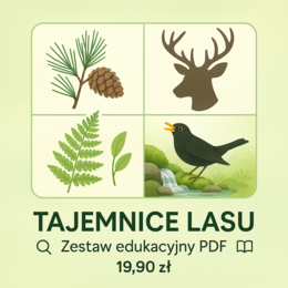 Plakaty edukacyjne. Cytaty. Przyroda.