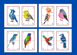 DZIEŃ PTAKÓW – puzzle – układanka- układanki – WIOSNA – biblioteka – świetlica – przedszkole – 12 wersji