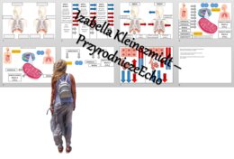 Materiał do zalaminowania/praca w grupach/układanka/puzzle „Wentylacja płuc/wdech i wydech/wymiana gazowa”, „Mechanizm oddychania” w pdf. Biologia 7 dział „Układ oddechowy”.