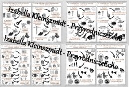 O czym będziemy się uczyć na lekcjach biologii w klasach 5-8? – wklejki do zeszytu. Materiał w power point do edycji