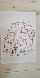 "Produkcja roślinna w Polsce/do zalaminowana/układanka/puzzle/rozmieszczenie upraw w Polsce/rozpoznawanie gatunków w pdf. „Produkcja roślinna”. Geografia 7 "Rolnictwo i przemysł Polski"