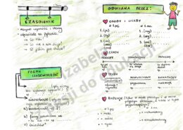 CZASOWNIK - karta notatki graficznej kl. 4-6