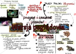 Sketchnotka - Przegląd i znaczenie płazów - klasa 6