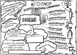 Klasa 7. Biologia. Białka (dwie karty pracy: kolorowa + do uzupełnienia)