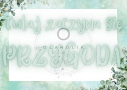 Napis A3 na 1 września „tutaj zaczyna się przygoda”