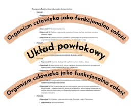 Zagadki detektywistyczne - stacje dydatktyczne Organizm człowieka jako funkcjonalna całość + Układ powłokowy