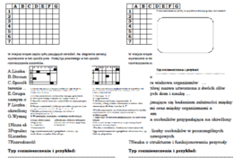 Cechy populacji - podsumowanie lekcji biologii w klasie 8