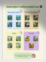 Czym jest ekologia? Zwierzęta i rośliny wokół nas. Jak chronić przyrodę?