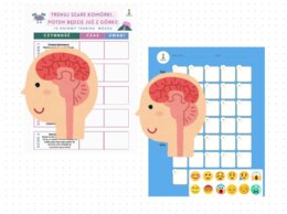 14-dniowy trening mózgu + dziennik emocji