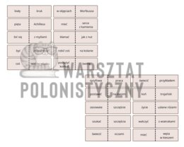 Frazeologiczne pary - 100 wyrażeń