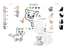 DZIEŃ KOTA – MEGA PAKIET EDUKACYJNY