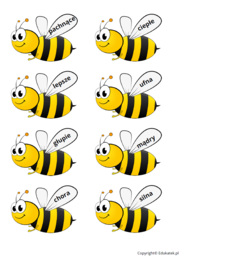 Gramatyczne zabawy na łące – utrwalanie gramatyki