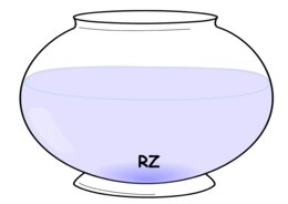 Gra ortograficzna - rybki