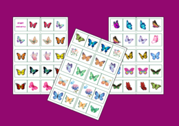 DZIEŃ MOTYLA – domino obrazkowe – WIOSNA - biblioteka - przedszkole - świetlica