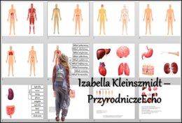 Materiał do zalaminowania/praca w grupach/stacje zadaniowe/układanka/puzzle/notatki okienkowe. Temat: „Narządy i układy narządów człowieka”, „Organizm człowieka jako funkcjonalna całość” w pdf. Biologia 7 dział „Organizm człowieka. Skóra - powłoka organi