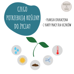 CZEGO POTRZEBUJĄ DO ŻYCIA ROŚLINY? - plansza edukacyjna i karty pracy dla ucznia