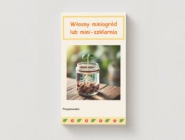 Własny mini-ogród lub mini-szklarnia. Sadzenie roślin w słoikach, doniczkach z recyklingu. Dziennik obserwacji