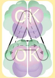 ALFABET DLA PRZEDSZKOLAKÓW – nauka liter przez zabawę i działanie