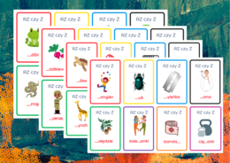 KARTY ORTOGRAFICZNE - RZ/Ż - 80 szt. - ortografia