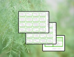 THERE IS – THERE ARE 01