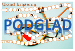 Układ krążenia - gra planszowa