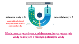 funkcjonowanie roślin KLASA 2 BIOLOGIA ROZSZERZONA