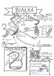 Poziomy organizacji białek