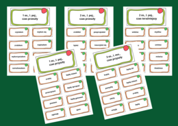 CZASOWNIKI - fiszki - 18 stron - kl. 4- 6 - części mowy - czasownik