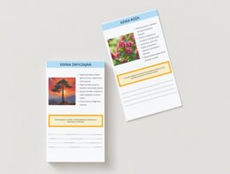 Karty z infografiką lokalnej fauny i flory. Gatunki roślin i zwierząt