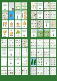 Find the insect games