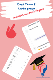 Bugs Team 2 – Unit 3 – karta pracy