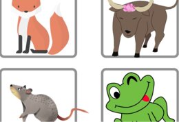 Karty do pracy z piosenką "Everything at once" (Lenka) (As ... as....)