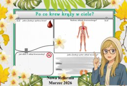Karta pracy z przyrody do klasy 4 "Po co krew krąży w ciele?". Przygotowana na podstawie podręcznika „Odkrywam przyrodę” wydawnictwa Nowa Era. Dział "Jak działa moje ciało?".
