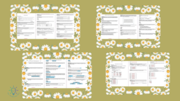 Testy egzaminacyjne CKE nauka o języku , ortografia i interpunkcja