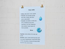 Bioróżnorodność. Rożne typy ekosystemów (łąka, lasy, wody słodkie, morza).