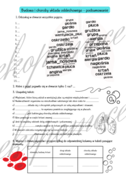 Karta pracy - Układ oddechowy (budowa i higiena) - klasa 7 SP - POWTÓRZENIE WIADOMOŚCI