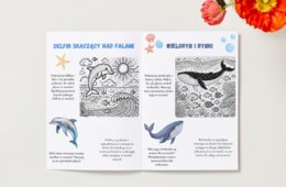 Kolorowanki ekologiczne. Zwierzęta. Rośliny. Środowisko naturalne.