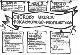 Choroby układu pokarmowego - szarość - klasa 7