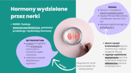 Układ wydalniczy 3 KLASA ROZSZERZENIE BIOLOGIA