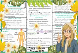 Sketchnotka/notatka - dla ucznia i przypomnienie dla nauczyciela w pdf. Temat "Mózg - centrum dowodzenia". Przyroda 4. "Odkrywam przyrodę" zgodna z wydawnictwem Nowa Era. Dział "Jak działa moje ciało?".