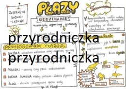 Klasa 6. Biologia. Płazy