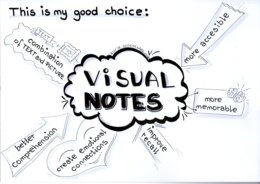 poster VISUAL NOTES