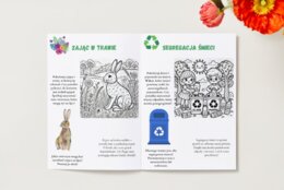 Kolorowanki ekologiczne. Zwierzęta. Rośliny. Środowisko naturalne.